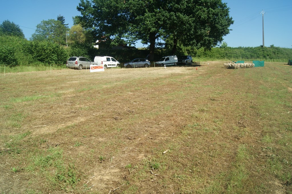DSC05861
