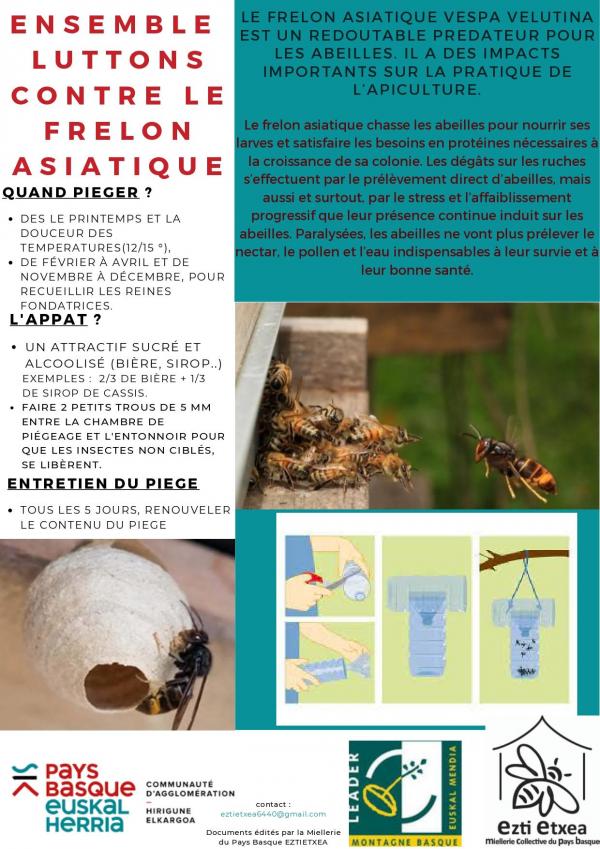 2023 lutte contre le frelon asiatique flyer page 0001
